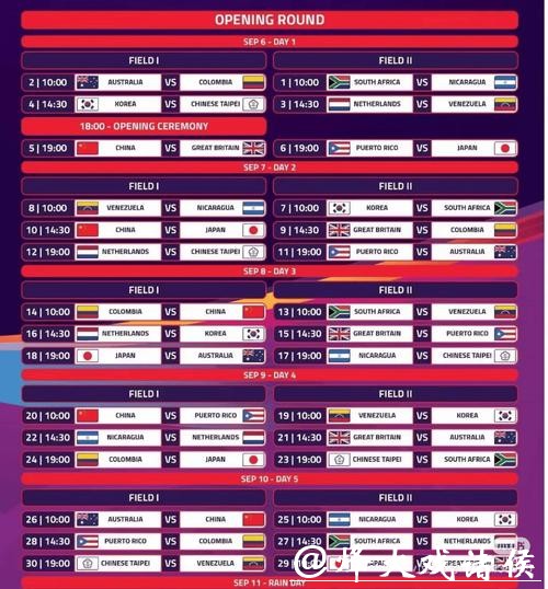 选择最佳世界杯投注平台指南